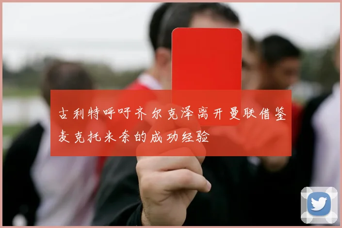 古利特呼吁齐尔克泽离开曼联借鉴麦克托米奈的成功经验