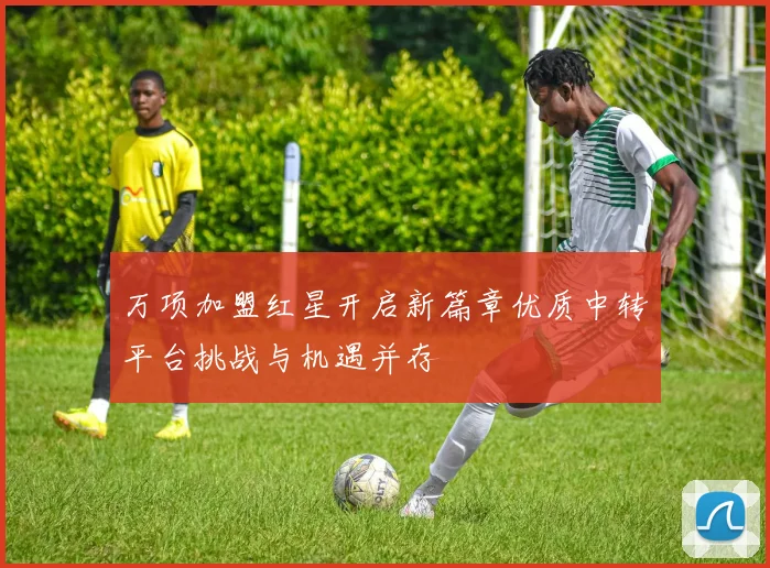 万项加盟红星开启新篇章优质中转平台挑战与机遇并存